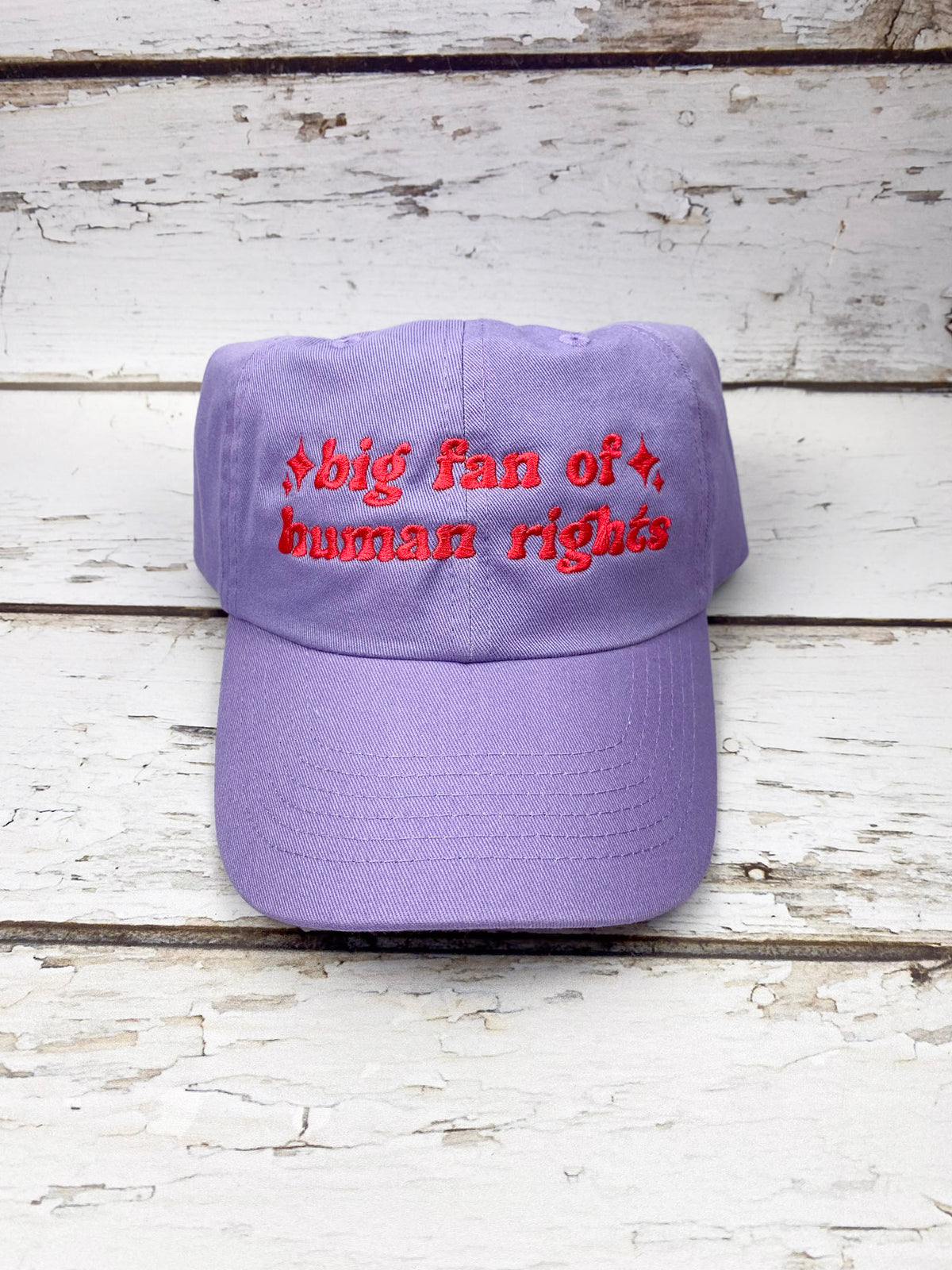 Big Fan of Human Rights Embroidered Dad Hat | Custom Cotton Baseball Cap | Adjustable Classic Hat